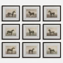  32343 - Equine Dynasty Framed Prints, S/9