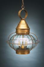 Northeast Lantern 2572-VG-MED-CLR - Caged Onion Hanging Verdi Gris Medium Base Socket Clear Glass